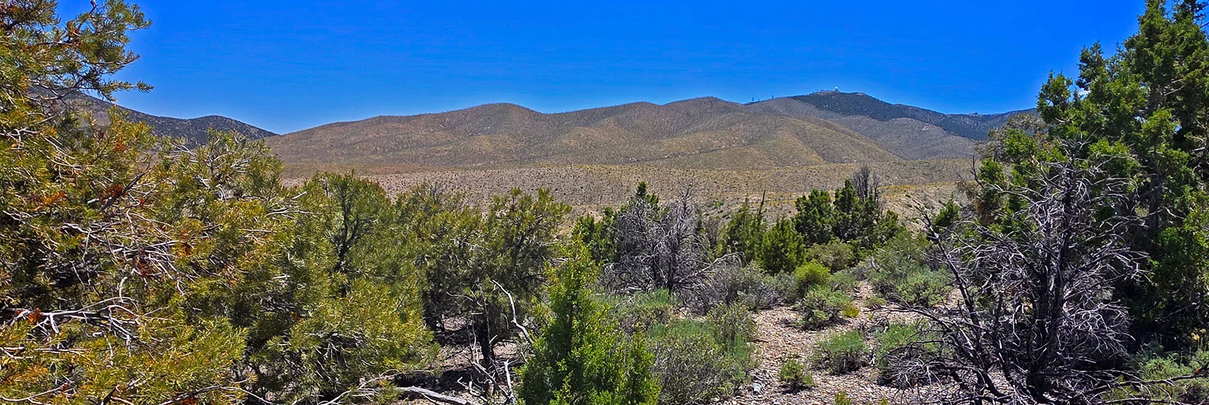 Spectacular Views from the Eastern Slopes of Mummy Mt. to the Sheep Range | Deer Creek Catch Pen Loop | Sawmill Trailhead | Lee Canyon, Nevada
