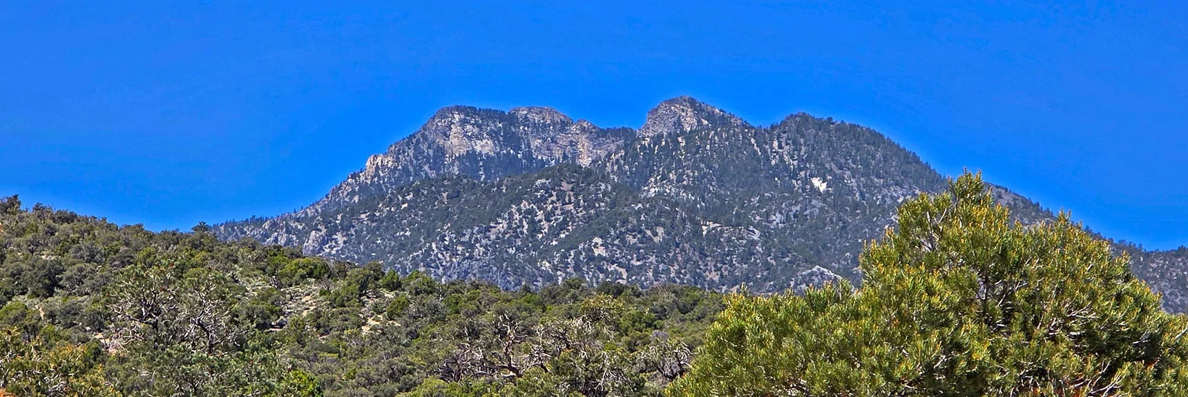 Spectacular Views from the Eastern Slopes of Mummy Mt. to the Sheep Range | Deer Creek Catch Pen Loop | Sawmill Trailhead | Lee Canyon, Nevada
