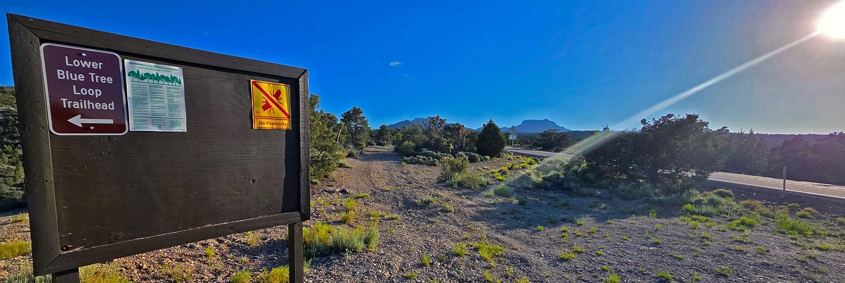 Spectacular Views from the Eastern Slopes of Mummy Mt. to the Sheep Range | Deer Creek Catch Pen Loop | Sawmill Trailhead | Lee Canyon, Nevada