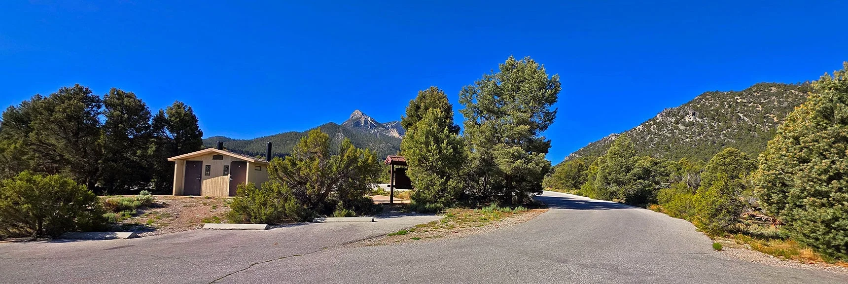 Spectacular Views from the Eastern Slopes of Mummy Mt. to the Sheep Range | Deer Creek Catch Pen Loop | Sawmill Trailhead | Lee Canyon, Nevada