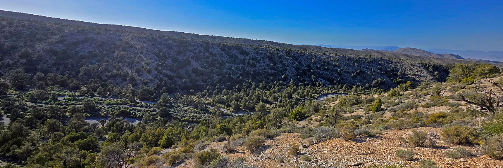 Spectacular Views from the Eastern Slopes of Mummy Mt. to the Sheep Range | Deer Creek Catch Pen Loop | Sawmill Trailhead | Lee Canyon, Nevada