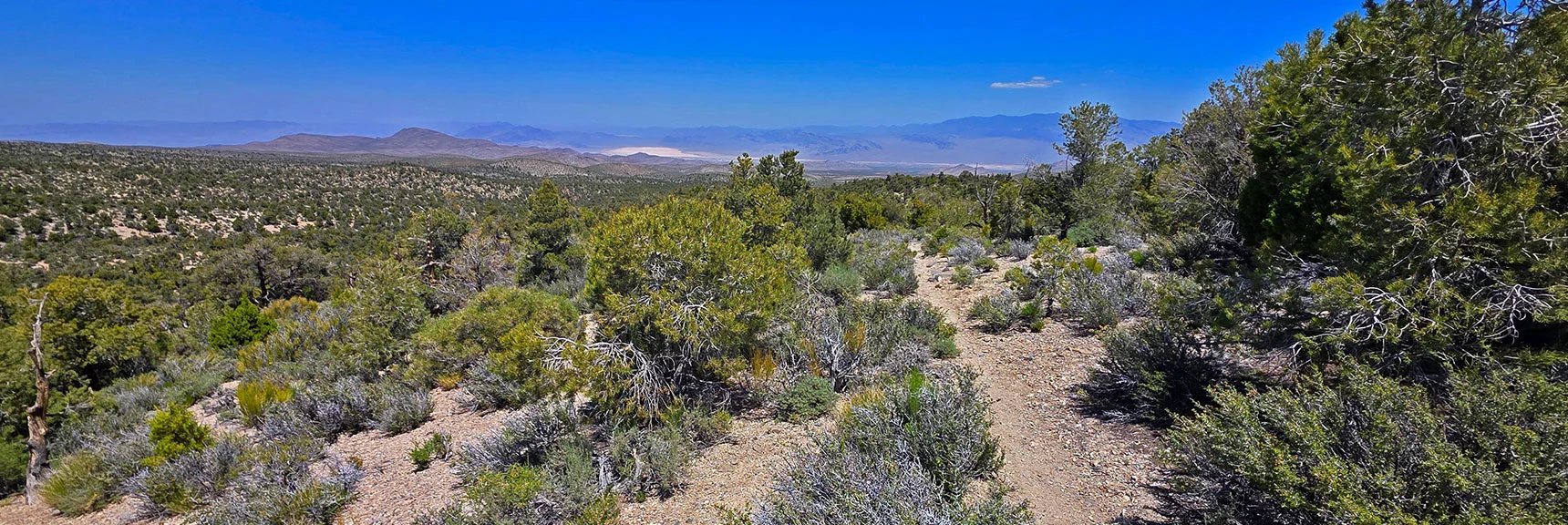 Spectacular Views from the Eastern Slopes of Mummy Mt. to the Sheep Range | Deer Creek Catch Pen Loop | Sawmill Trailhead | Lee Canyon, Nevada