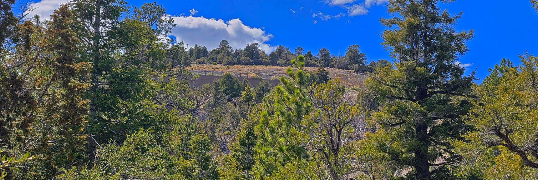 Spectacular Views from the Eastern Slopes of Mummy Mt. to the Sheep Range | Deer Creek Catch Pen Loop | Sawmill Trailhead | Lee Canyon, Nevada