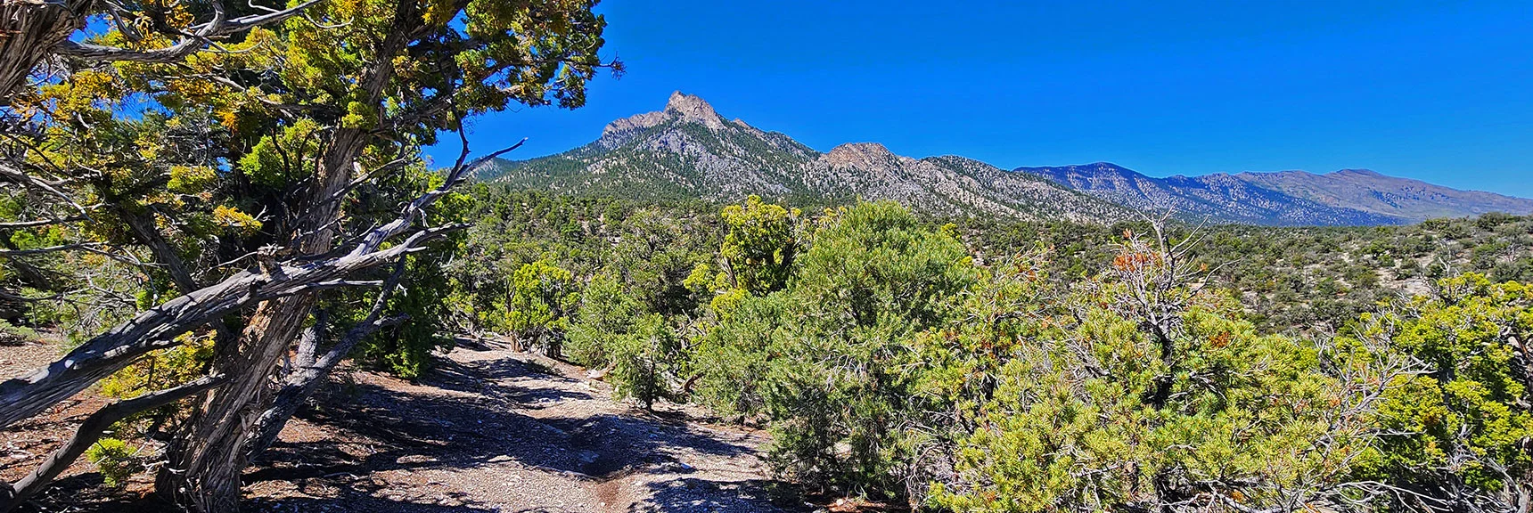 Trail Continues to Ascend Toward Macks Peak Base. Bonanza & Wheeler Peaks to Right. | Mud Springs Loop Clockwise | Sawmill Trailhead | Lee Canyon, Nevada