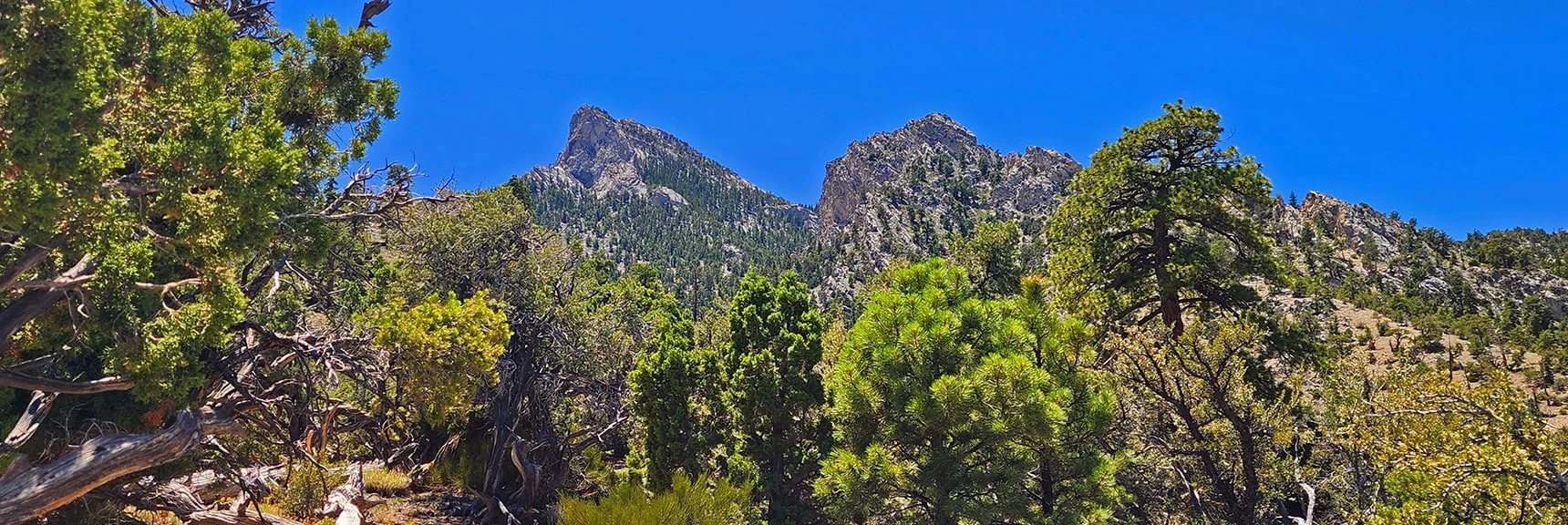 View Back Toward Macks Peak, Now Behind to South | Mud Springs Loop Clockwise | Sawmill Trailhead | Lee Canyon, Nevada