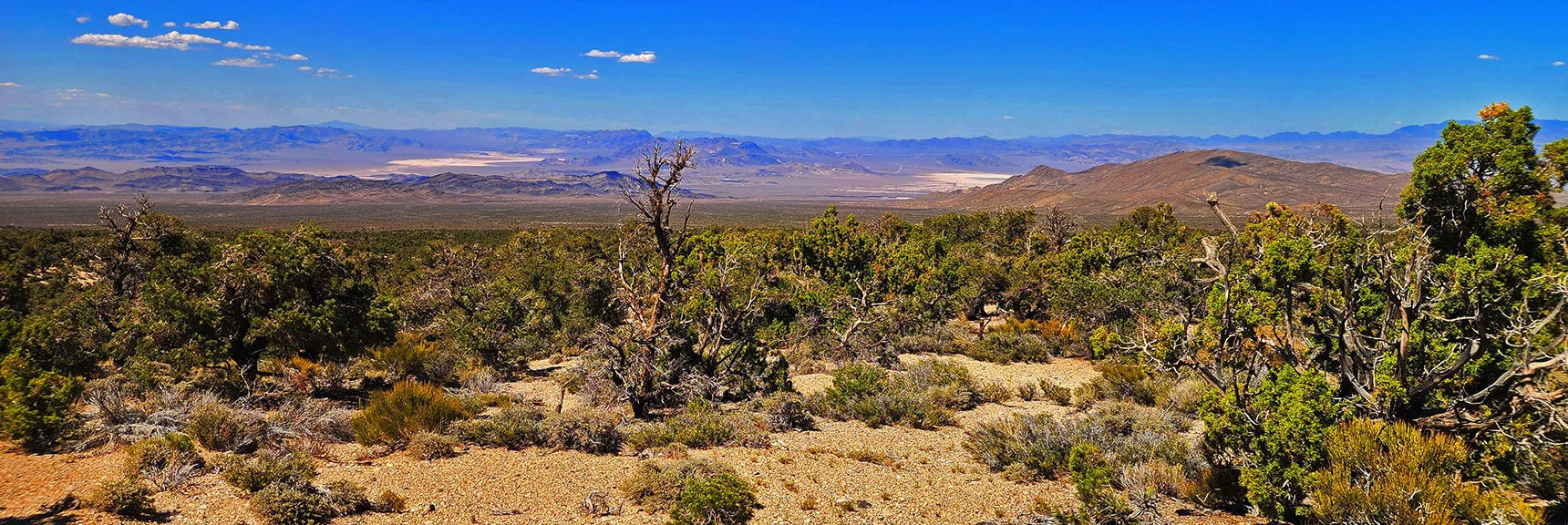 More Desert Vistas Below to the East, Terrain More Arid | Mud Springs Loop Clockwise | Sawmill Trailhead | Lee Canyon, Nevada
