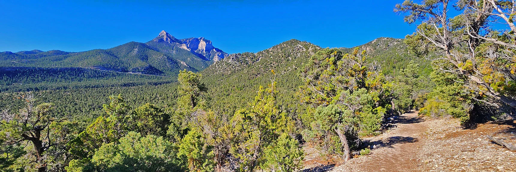 Expansive Views Open While Ascending Ridge to Mud Springs Loop | Mud Springs Loop Clockwise | Sawmill Trailhead | Lee Canyon, Nevada