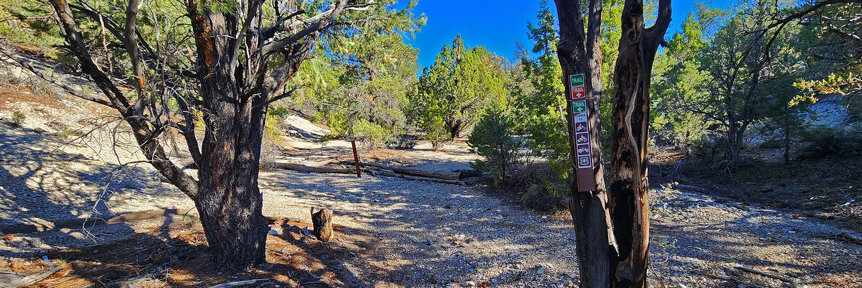 First Trail Sign in 8 Miles! Ascend to Ridge, Then Descend to Sawmill Trailhead | Mud Springs Loop Clockwise | Sawmill Trailhead | Lee Canyon, Nevada