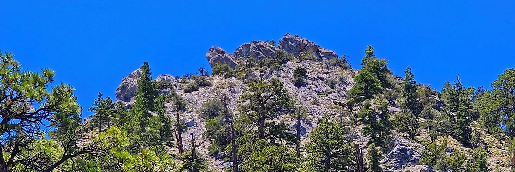 Trail Passes This Bristlecone Covered High Point Along Macks Peak Base | Mud Springs Loop Clockwise | Sawmill Trailhead | Lee Canyon, Nevada