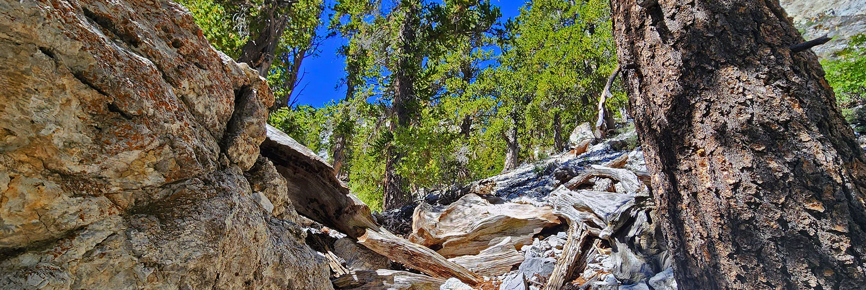 Passing Above a Second Rocky Ridge and Continuing Up the Slope | Deer Creek North Fork Canyon | Mt Charleston Wilderness, Nevada