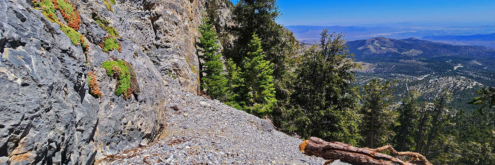 View Back Across Cliff Base Route. Angel Peak Far Below Canyon | Deer Creek North Fork Canyon | Mt Charleston Wilderness, Nevada