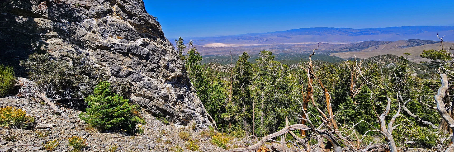 Now Back At Limestone Pillar on East Ridge of 7-Mile Canyon. | Deer Creek North Fork Canyon | Mt Charleston Wilderness, Nevada