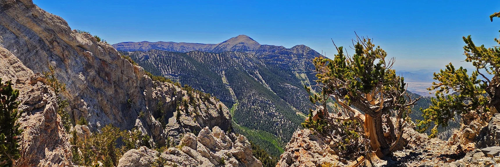 Charleston & Lee Peaks Through Saddle Opening. Lee Canyon is Below. | Deer Creek North Fork Canyon | Mt Charleston Wilderness, Nevada