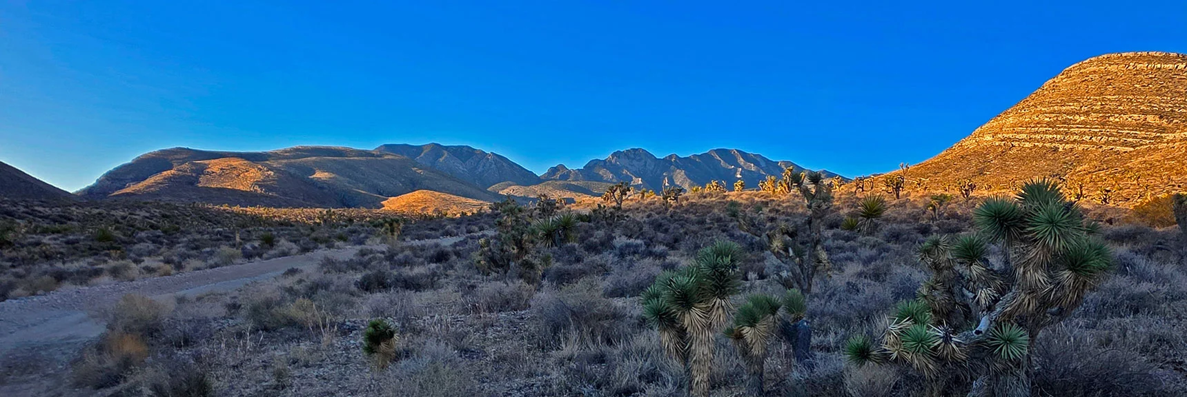 Many Gentle, Grassy Approach Ridges. Favor Ridges to Left (East) | East La Madre Peak | La Madre Mountains Wilderness, Nevada