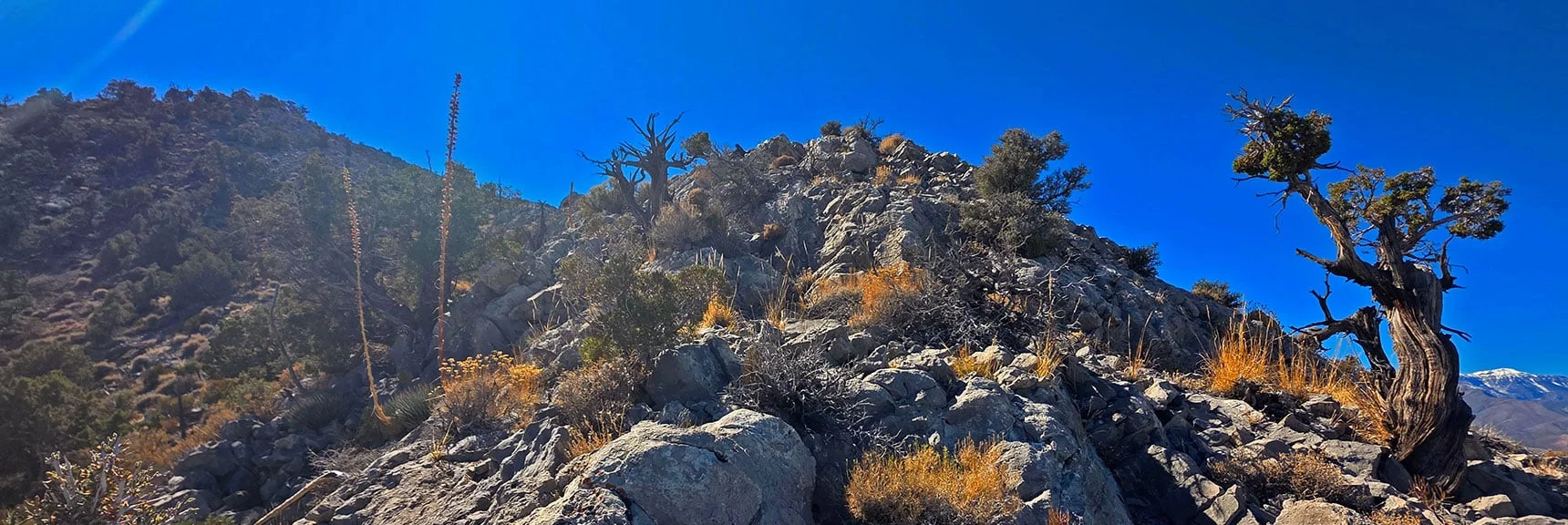 This Entire Adventure is a Class 2 Walk All the Way. | East La Madre Peak | La Madre Mountains Wilderness, Nevada