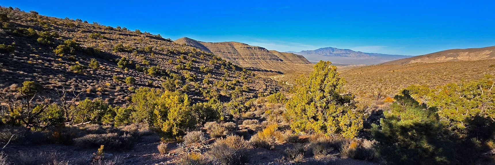 The Lower Approach Slopes Offer Gradual, Open Terrain | La Madre East Ridge Approaches | La Madre Mountains Wilderness, Nevada