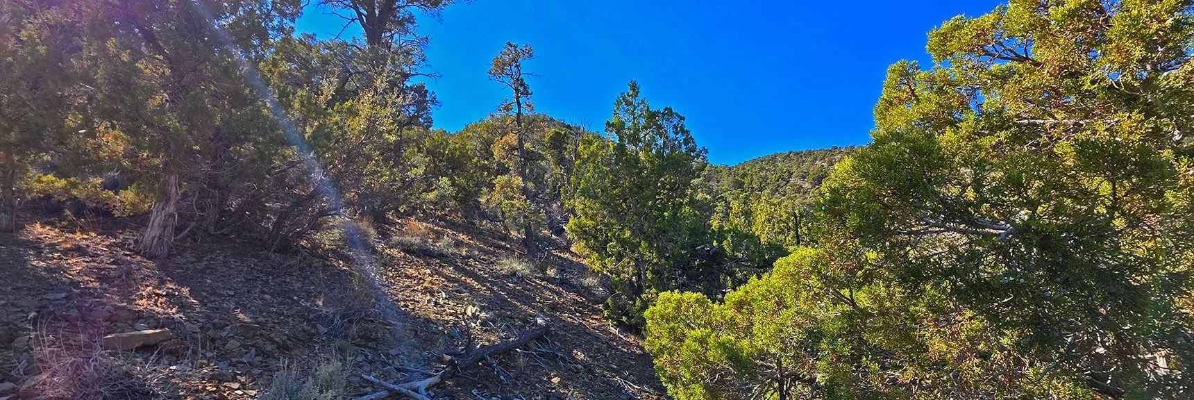 Now Angle Left Up Base of Devil's Ladder. | La Madre East Ridge Approaches | La Madre Mountains Wilderness, Nevada
