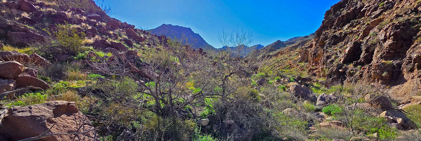 Boulder Stretch Just Below Initial Slope Slows Progress | Lonesome Wash Upper Entrance | Eldorado Wilderness, Nevada