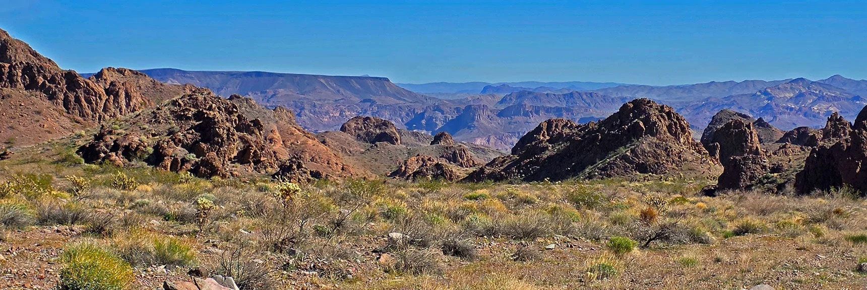 Turn-Around Point: View Lower Lonesome Wash to Malpais Flattop Mesa. | Lonesome Wash Upper Entrance | Eldorado Wilderness, Nevada