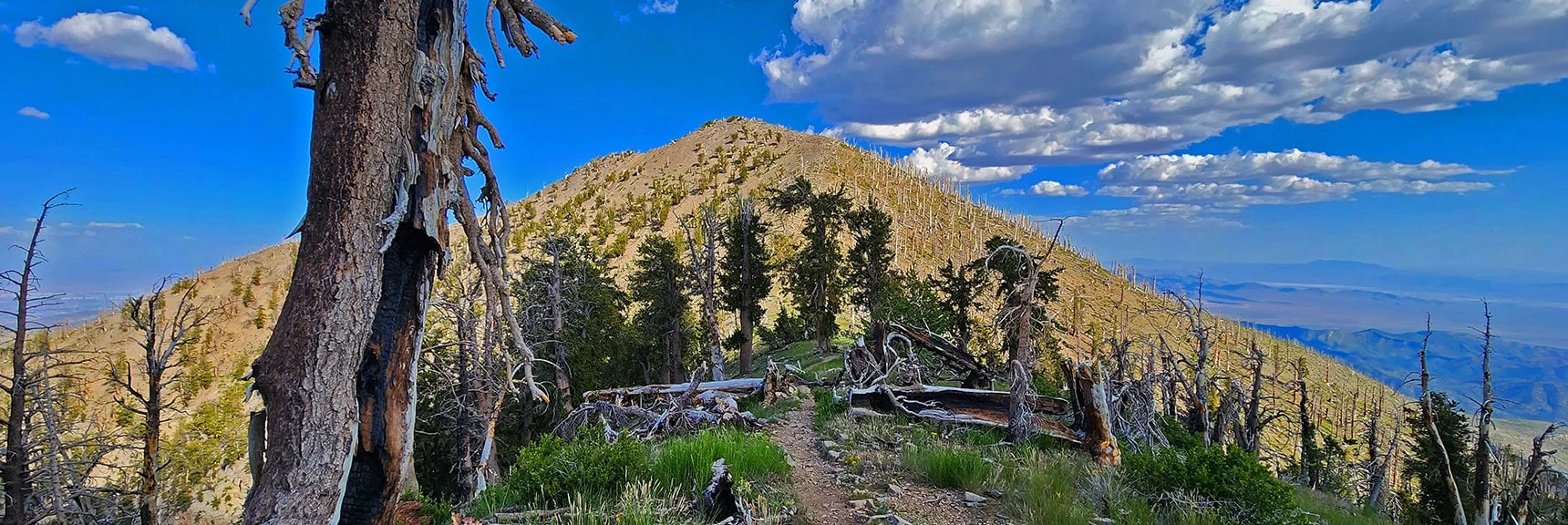 Blue Diamond Hill (R), Red Rock Canyon (Middle), Indecision Peak (L). | Monument Peak Summit | Rainbow Mountain Wilderness, Nevada