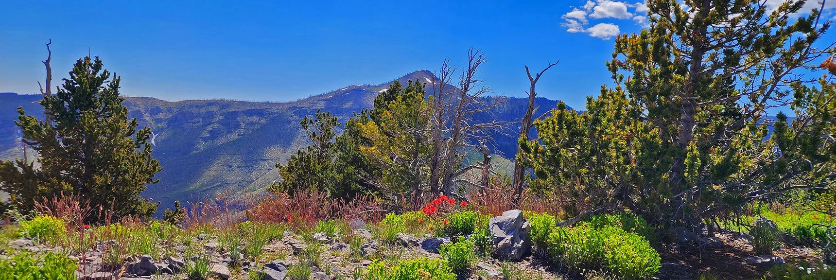 Blue Diamond Hill (R), Red Rock Canyon (Middle), Indecision Peak (L). | Monument Peak Summit | Rainbow Mountain Wilderness, Nevada