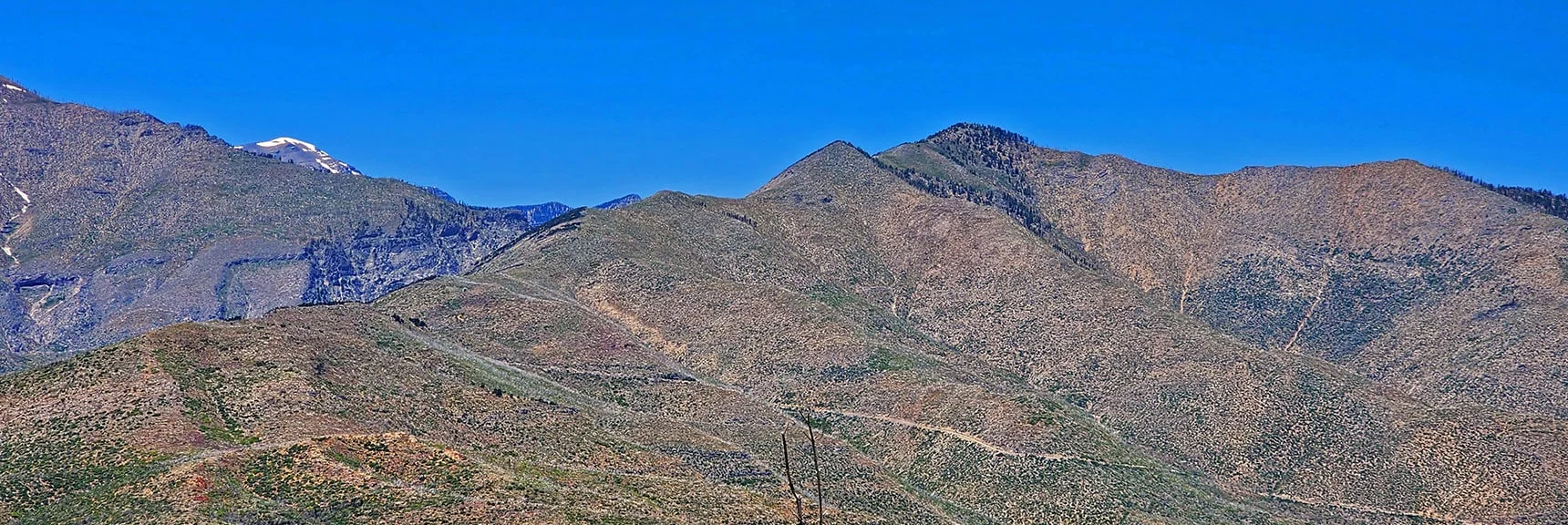 Blue Diamond Hill (R), Red Rock Canyon (Middle), Indecision Peak (L). | Monument Peak Summit | Rainbow Mountain Wilderness, Nevada