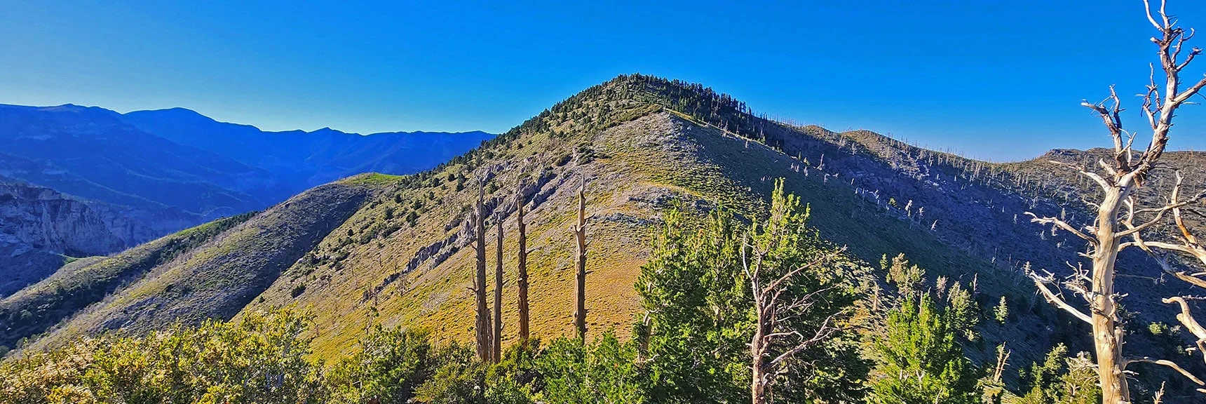 Blue Diamond Hill (R), Red Rock Canyon (Middle), Indecision Peak (L). | Monument Peak Summit | Rainbow Mountain Wilderness, Nevada