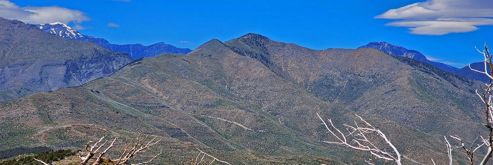 Blue Diamond Hill (R), Red Rock Canyon (Middle), Indecision Peak (L). | Monument Peak Summit | Rainbow Mountain Wilderness, Nevada
