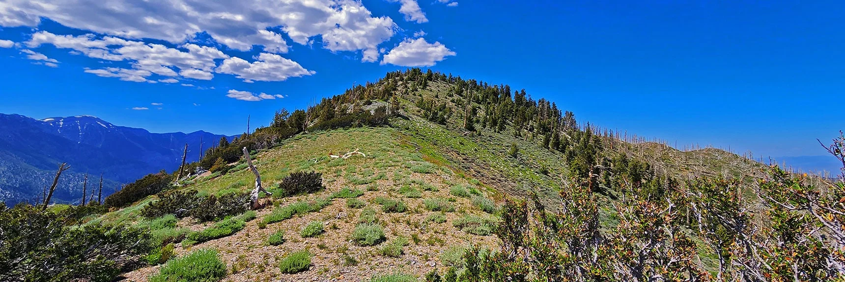 Blue Diamond Hill (R), Red Rock Canyon (Middle), Indecision Peak (L). | Monument Peak Summit | Rainbow Mountain Wilderness, Nevada