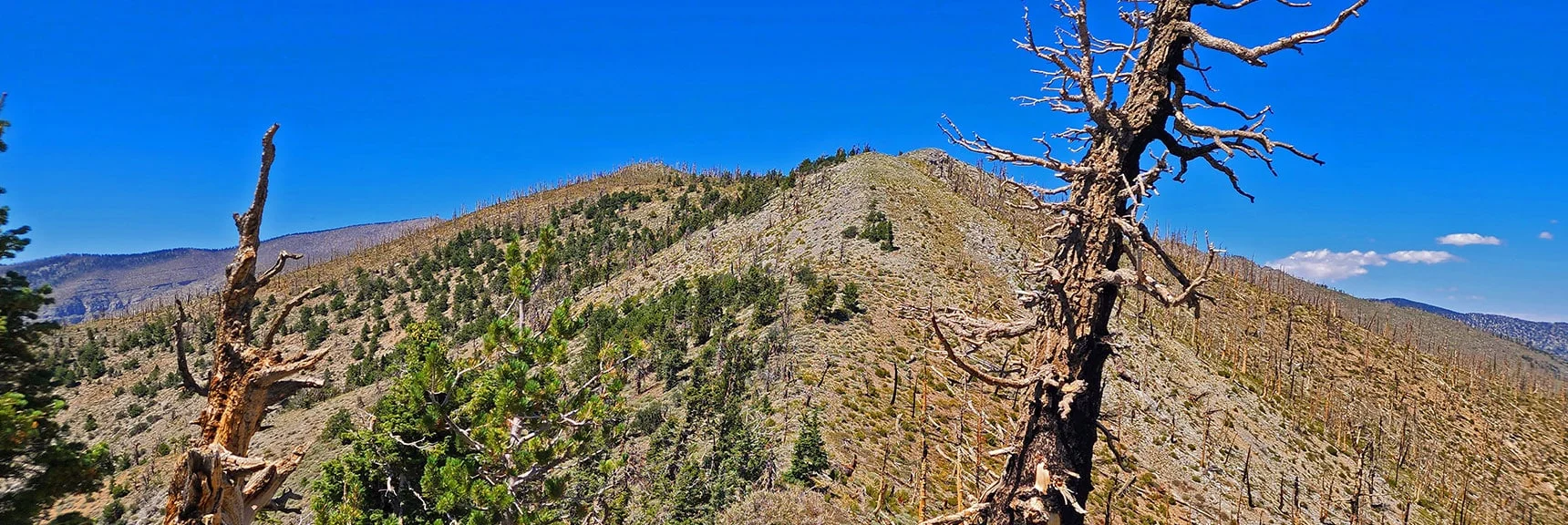 Blue Diamond Hill (R), Red Rock Canyon (Middle), Indecision Peak (L). | Monument Peak Summit | Rainbow Mountain Wilderness, Nevada