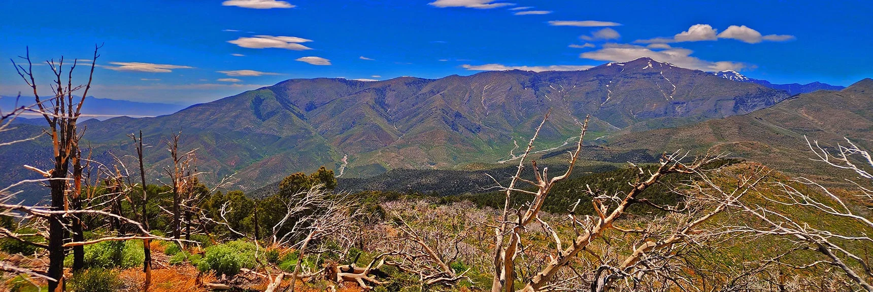 Blue Diamond Hill (R), Red Rock Canyon (Middle), Indecision Peak (L). | Monument Peak Summit | Rainbow Mountain Wilderness, Nevada