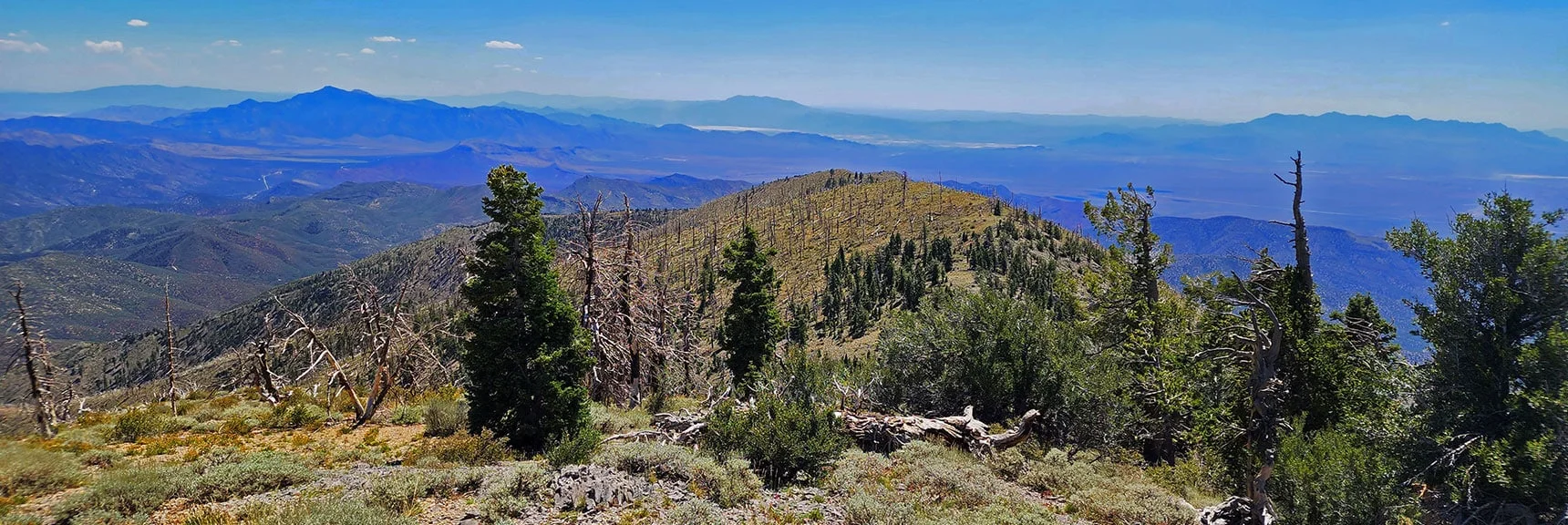 Blue Diamond Hill (R), Red Rock Canyon (Middle), Indecision Peak (L). | Monument Peak Summit | Rainbow Mountain Wilderness, Nevada