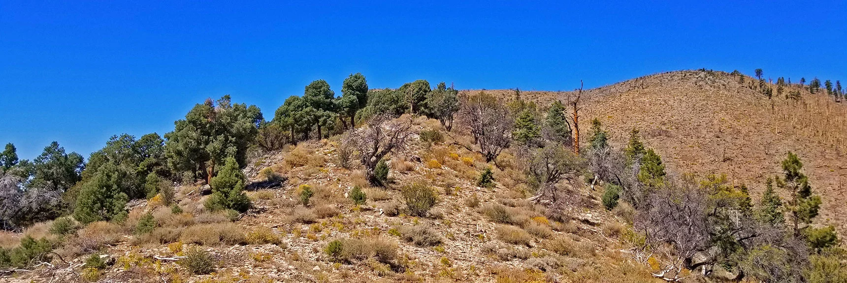 Blue Diamond Hill (R), Red Rock Canyon (Middle), Indecision Peak (L). | Monument Peak Summit | Rainbow Mountain Wilderness, Nevada