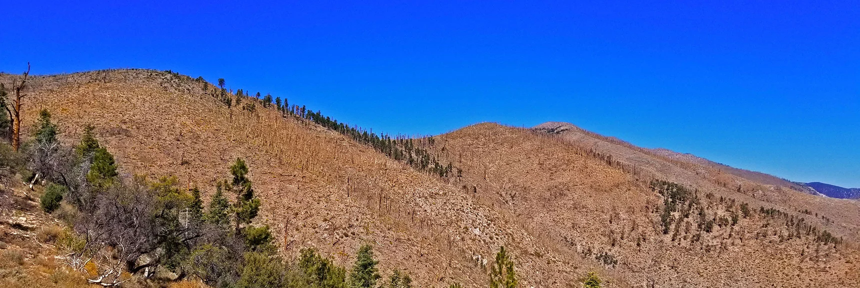 Blue Diamond Hill (R), Red Rock Canyon (Middle), Indecision Peak (L). | Monument Peak Summit | Rainbow Mountain Wilderness, Nevada
