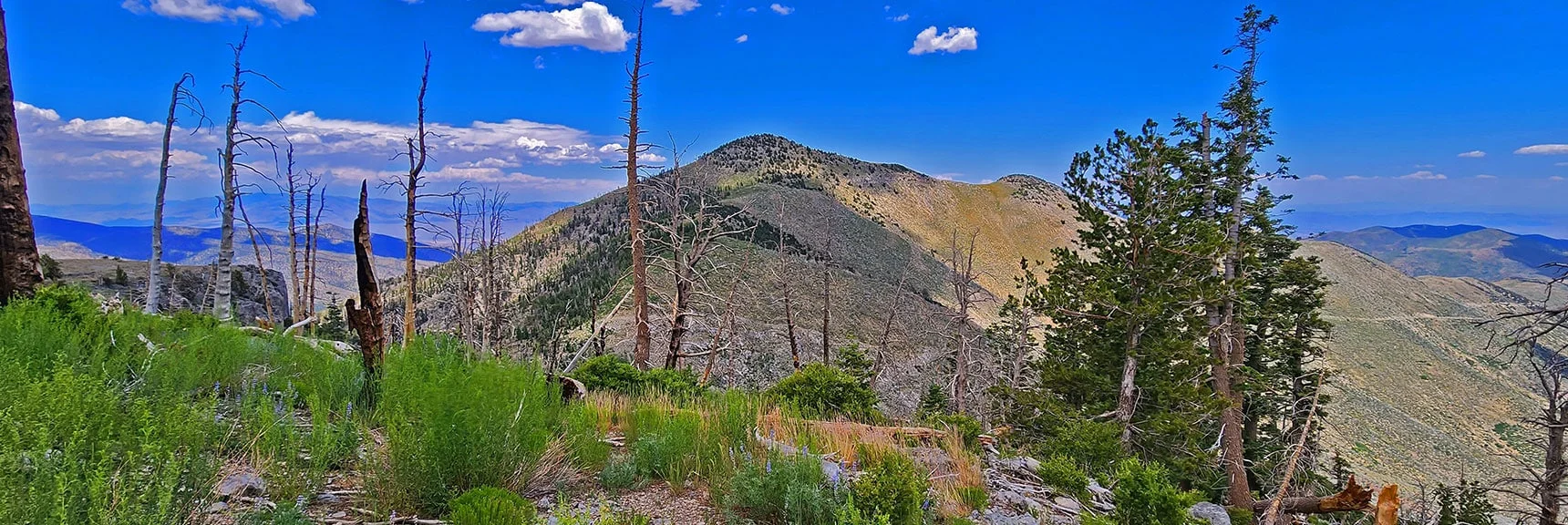 Blue Diamond Hill (R), Red Rock Canyon (Middle), Indecision Peak (L). | Monument Peak Summit | Rainbow Mountain Wilderness, Nevada