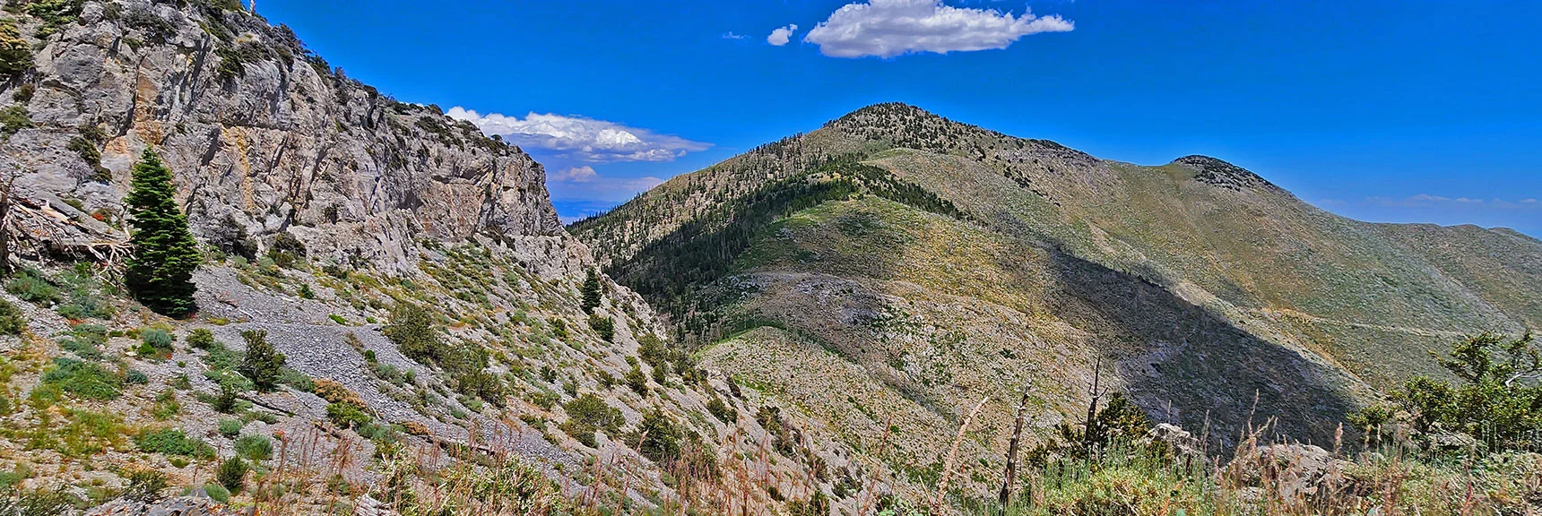 Blue Diamond Hill (R), Red Rock Canyon (Middle), Indecision Peak (L). | Monument Peak Summit | Rainbow Mountain Wilderness, Nevada