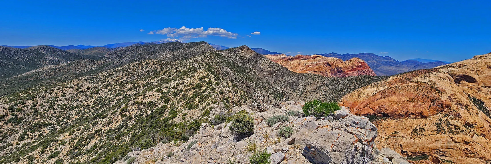 Blue Diamond Hill (R), Red Rock Canyon (Middle), Indecision Peak (L). | Monument Peak Summit | Rainbow Mountain Wilderness, Nevada