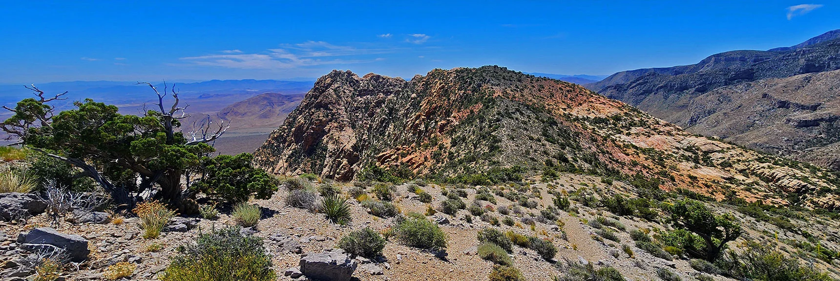 Blue Diamond Hill (R), Red Rock Canyon (Middle), Indecision Peak (L). | Monument Peak Summit | Rainbow Mountain Wilderness, Nevada