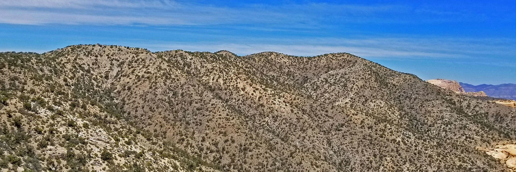 Blue Diamond Hill (R), Red Rock Canyon (Middle), Indecision Peak (L). | Monument Peak Summit | Rainbow Mountain Wilderness, Nevada