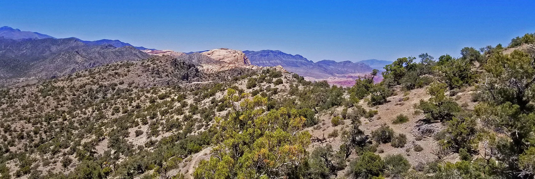 Blue Diamond Hill (R), Red Rock Canyon (Middle), Indecision Peak (L). | Monument Peak Summit | Rainbow Mountain Wilderness, Nevada
