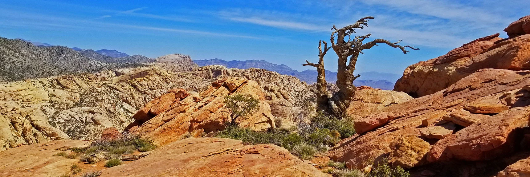 Blue Diamond Hill (R), Red Rock Canyon (Middle), Indecision Peak (L). | Monument Peak Summit | Rainbow Mountain Wilderness, Nevada