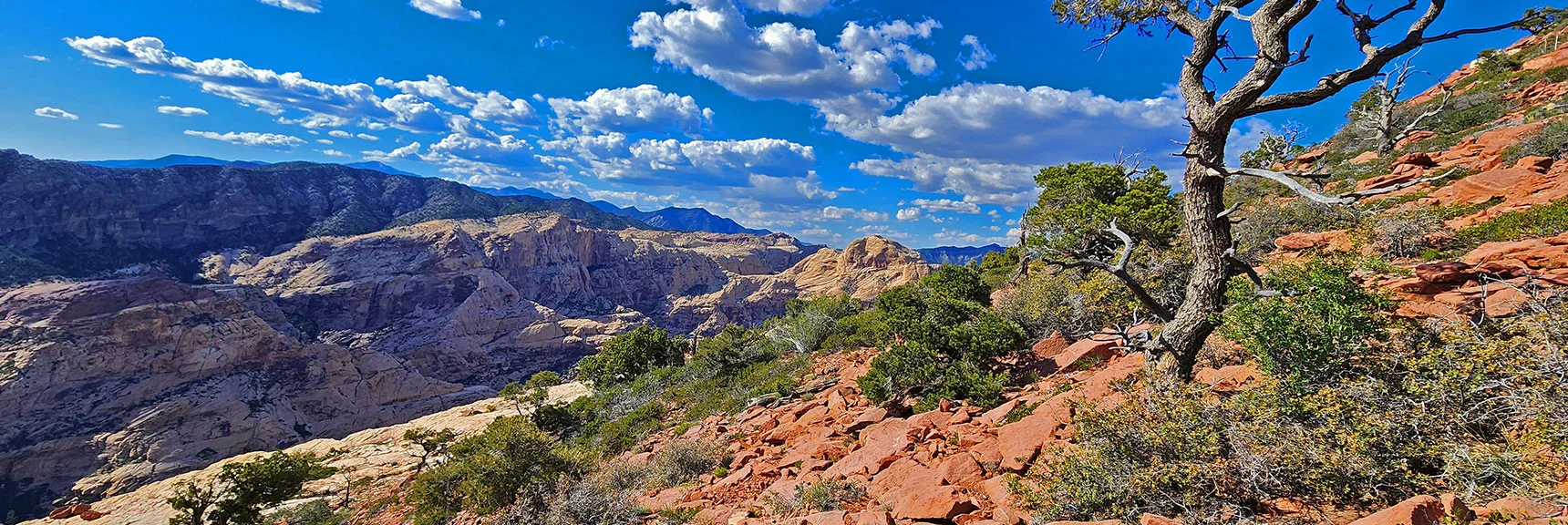 Blue Diamond Hill (R), Red Rock Canyon (Middle), Indecision Peak (L). | Monument Peak Summit | Rainbow Mountain Wilderness, Nevada