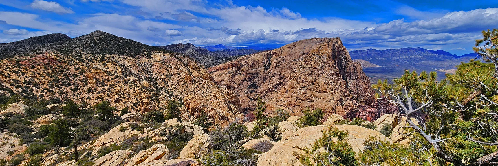 Blue Diamond Hill (R), Red Rock Canyon (Middle), Indecision Peak (L). | Monument Peak Summit | Rainbow Mountain Wilderness, Nevada