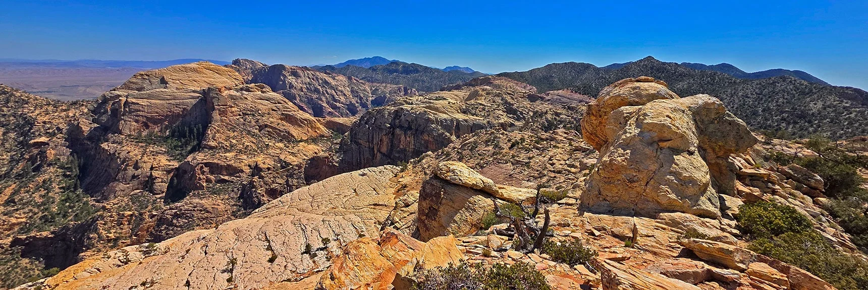 Blue Diamond Hill (R), Red Rock Canyon (Middle), Indecision Peak (L). | Monument Peak Summit | Rainbow Mountain Wilderness, Nevada