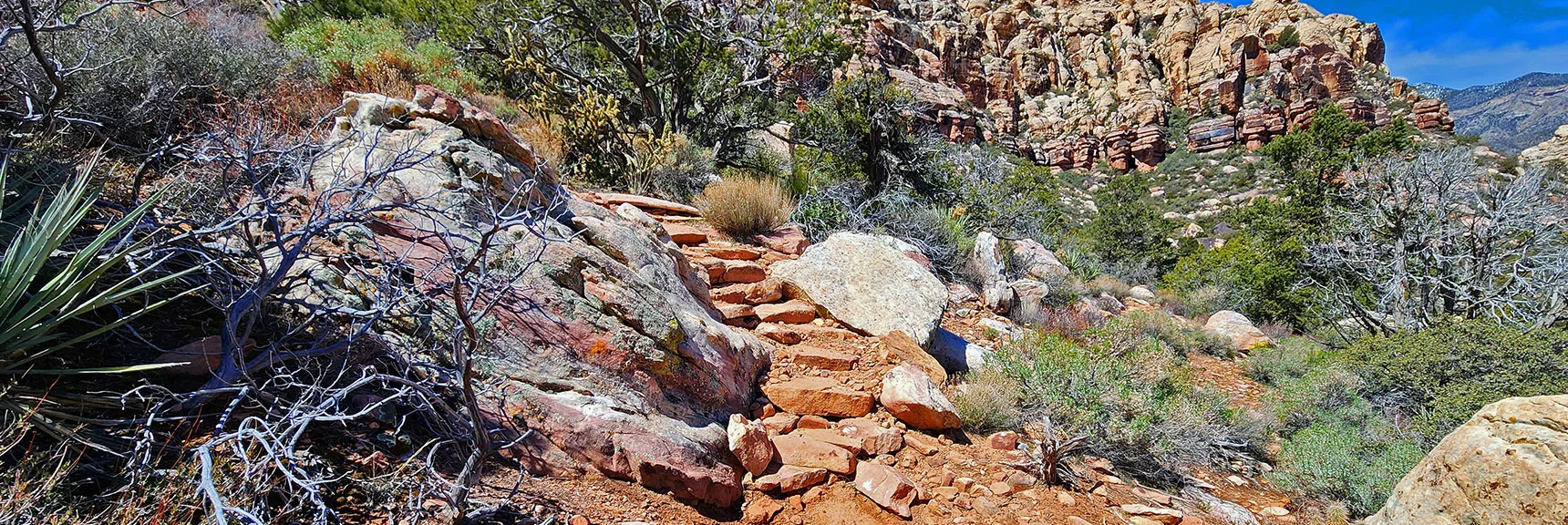 Blue Diamond Hill (R), Red Rock Canyon (Middle), Indecision Peak (L). | Monument Peak Summit | Rainbow Mountain Wilderness, Nevada