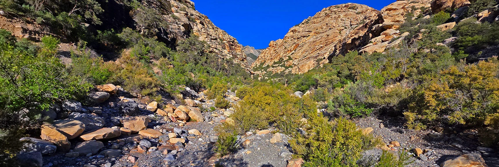 Blue Diamond Hill (R), Red Rock Canyon (Middle), Indecision Peak (L). | Monument Peak Summit | Rainbow Mountain Wilderness, Nevada