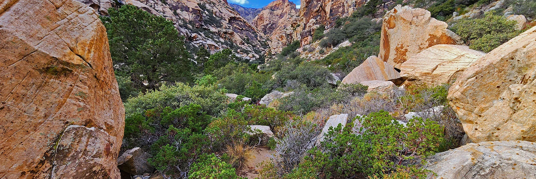 Blue Diamond Hill (R), Red Rock Canyon (Middle), Indecision Peak (L). | Monument Peak Summit | Rainbow Mountain Wilderness, Nevada