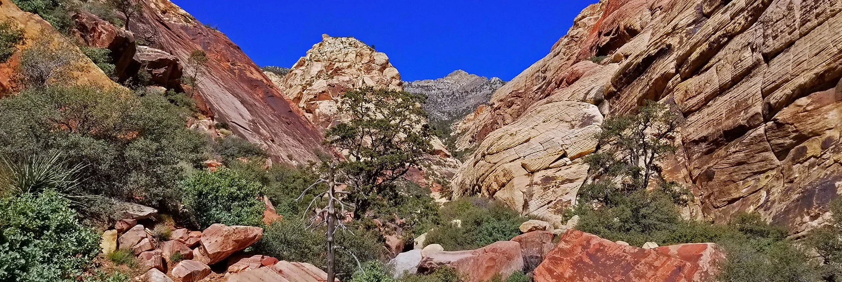 Blue Diamond Hill (R), Red Rock Canyon (Middle), Indecision Peak (L). | Monument Peak Summit | Rainbow Mountain Wilderness, Nevada