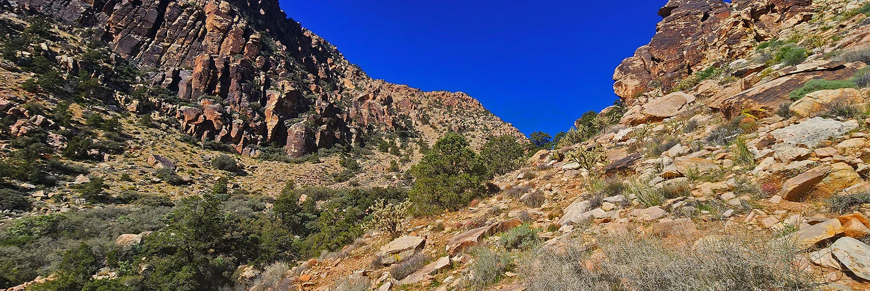 Blue Diamond Hill (R), Red Rock Canyon (Middle), Indecision Peak (L). | Monument Peak Summit | Rainbow Mountain Wilderness, Nevada