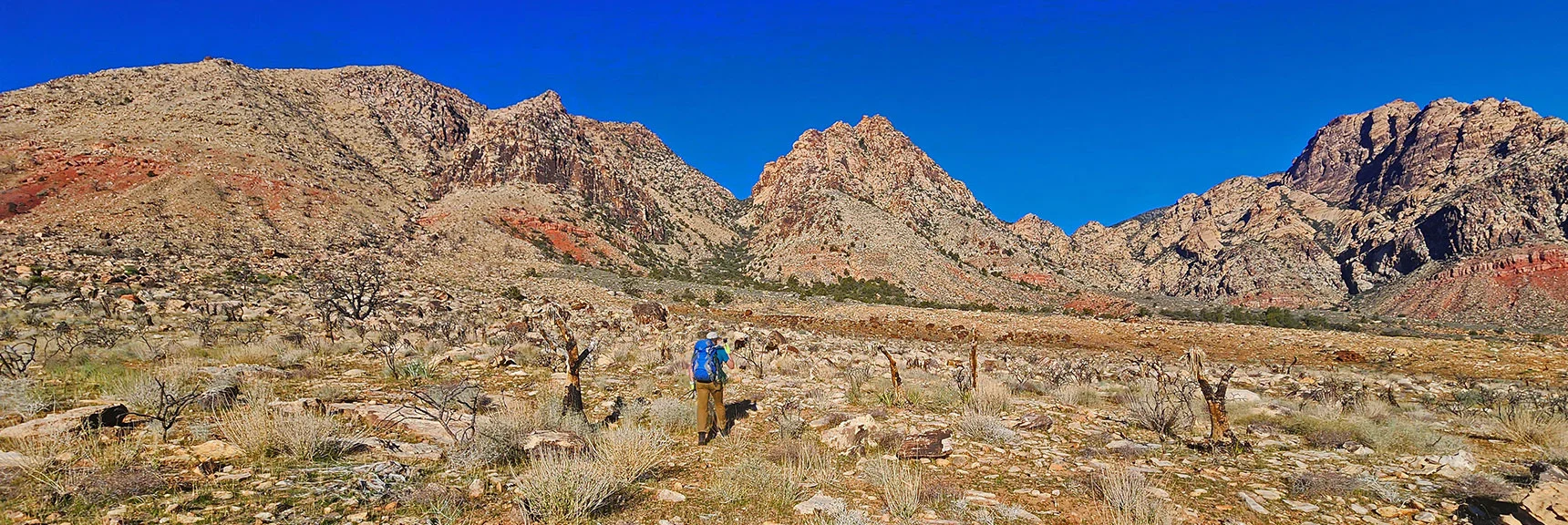 Blue Diamond Hill (R), Red Rock Canyon (Middle), Indecision Peak (L). | Monument Peak Summit | Rainbow Mountain Wilderness, Nevada
